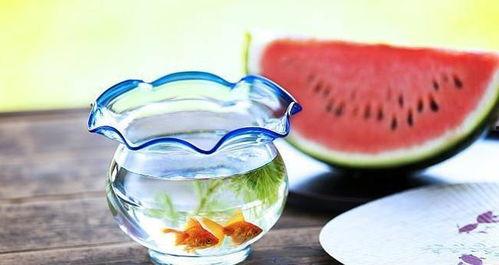 暗黑全网吃瓜官网,揭秘网络热点背后的真相与笑料