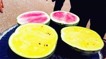 西安最新吃瓜爆料信息,揭秘网红美食背后的秘密风暴