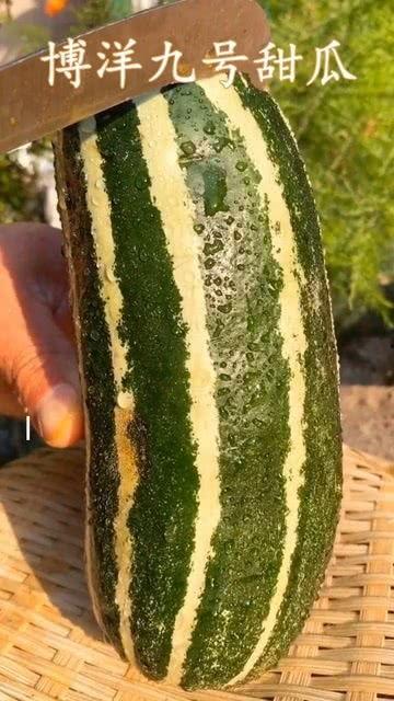 吃瓜网没有了吗,揭秘网络舆论风向标，探寻消失背后的真相