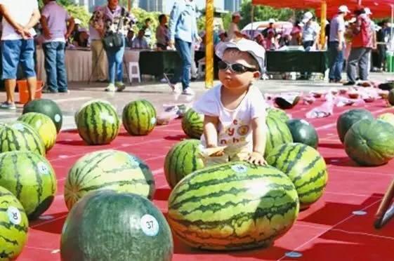 每日大赛吃瓜网入口